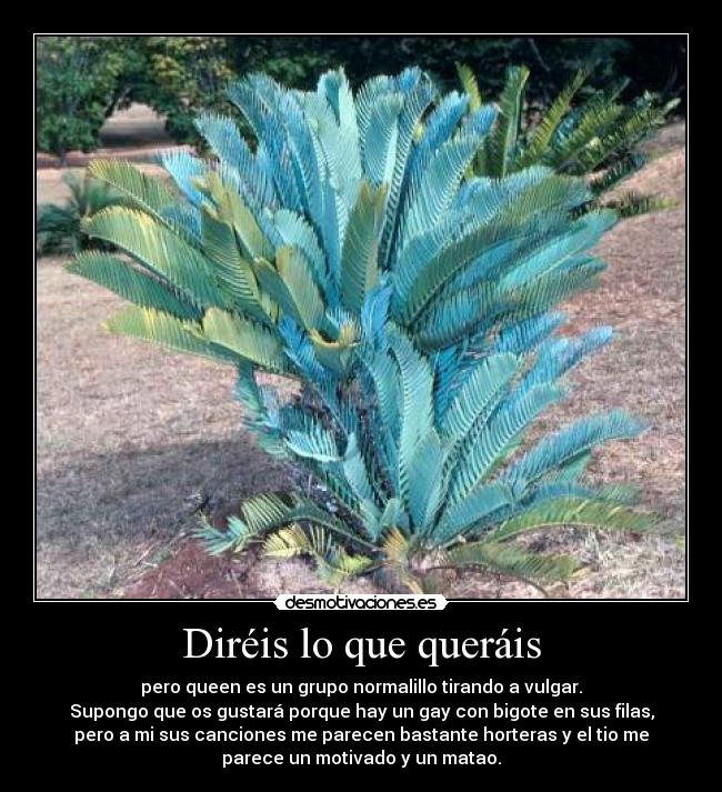 Diréis lo que queráis - pero queen es un grupo normalillo tirando a vulgar.
Supongo que os gustará porque hay un gay con bigote en sus filas,
pero a mi sus canciones me parecen bastante horteras y el tio me
parece un motivado y un matao.