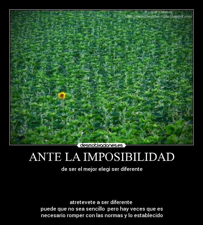 ANTE LA IMPOSIBILIDAD -