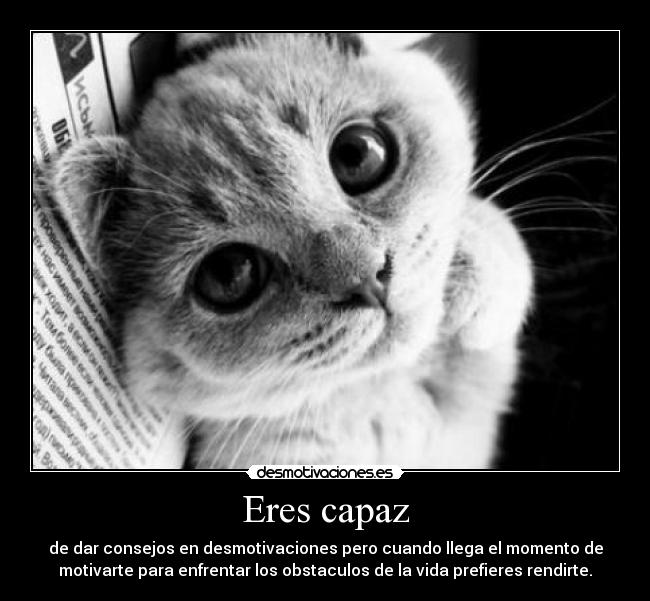 Eres capaz -