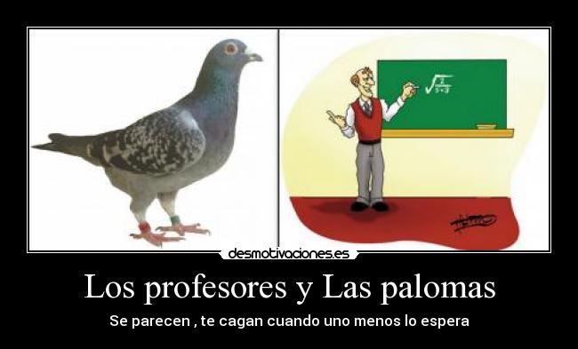 Los profesores y Las palomas - 