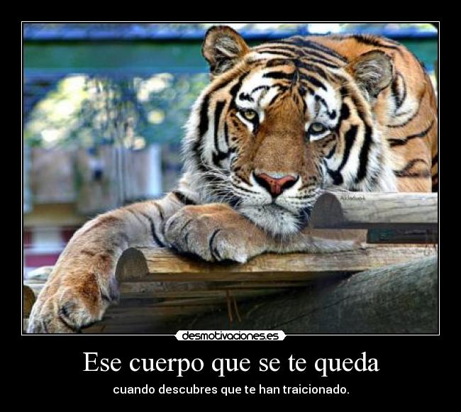 Ese cuerpo que se te queda -