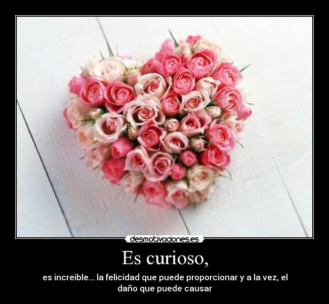 Es curioso, - es increible... la felicidad que puede proporcionar y a la vez, el daño que puede causar