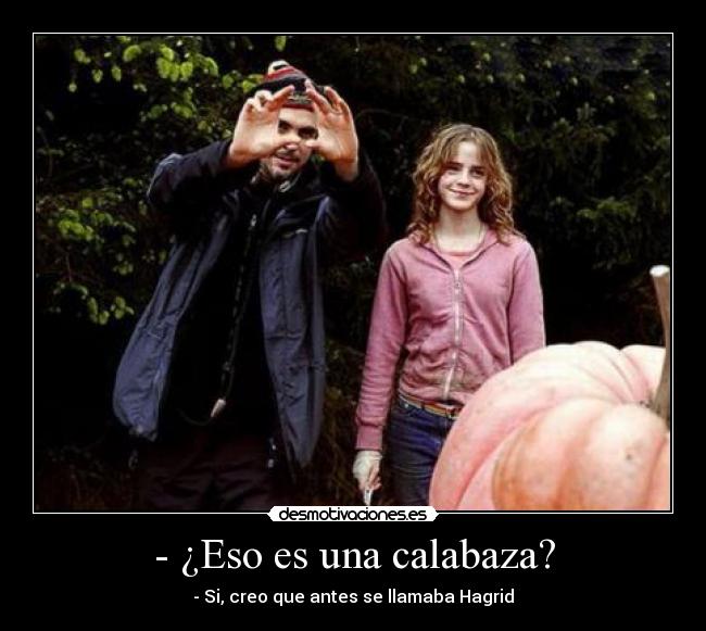 - ¿Eso es una calabaza? - - Si, creo que antes se llamaba Hagrid