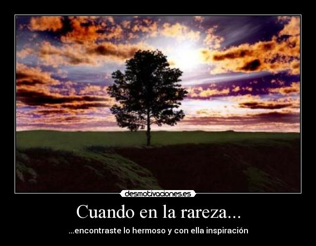 Cuando en la rareza... - 