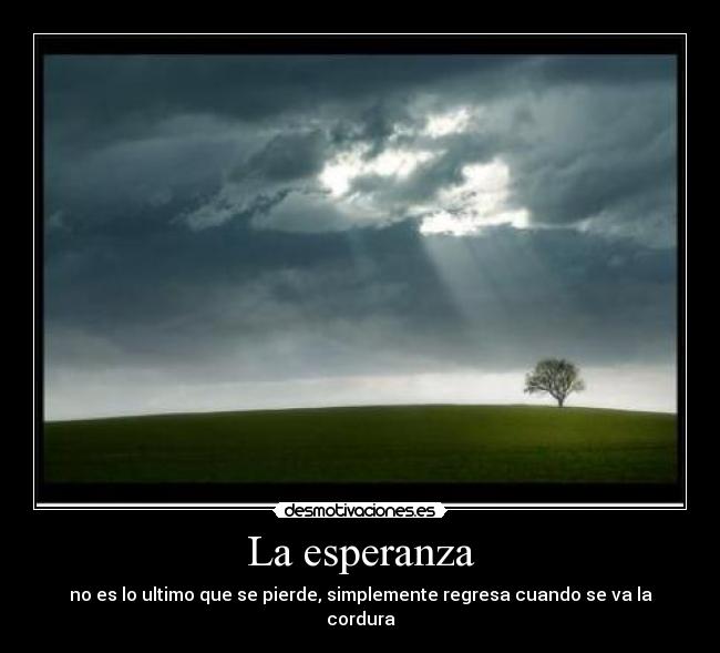 La esperanza - no es lo ultimo que se pierde, simplemente regresa cuando se va la cordura