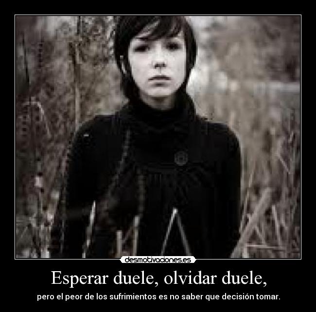 Esperar duele, olvidar duele, - pero el peor de los sufrimientos es no saber que decisión tomar.