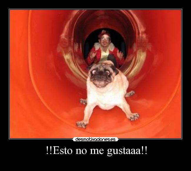 !!Esto no me gustaaa!! - 