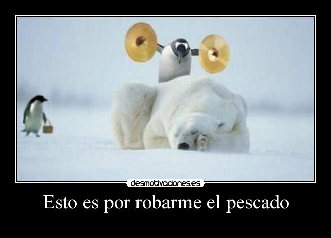 Esto es por robarme el pescado -