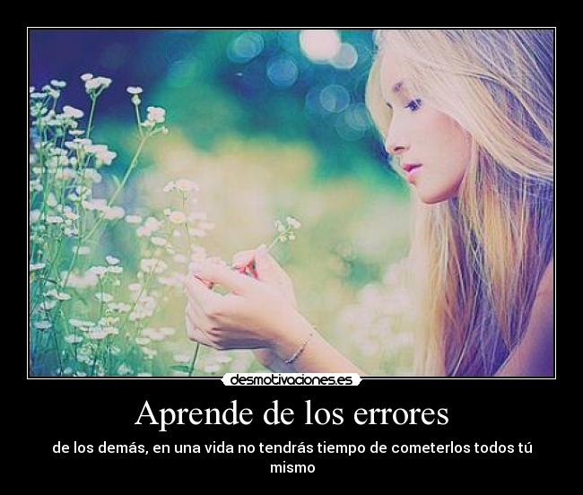 carteles aprende los errores los demas desmotivaciones
