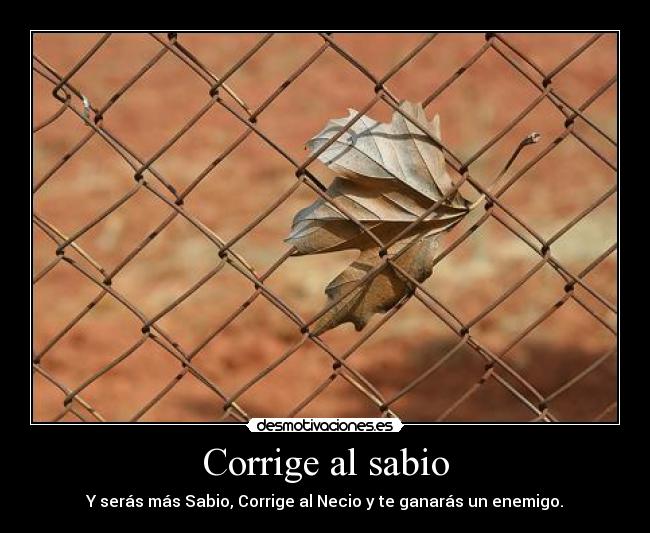 carteles eurekaname sabiduria web desmotivaciones