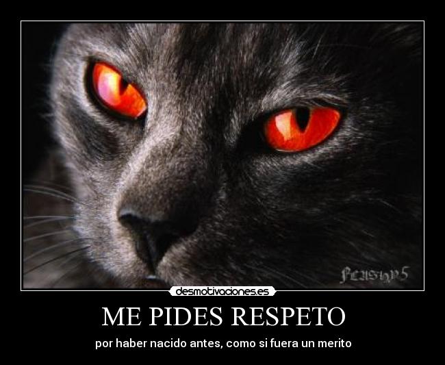 ME PIDES RESPETO -