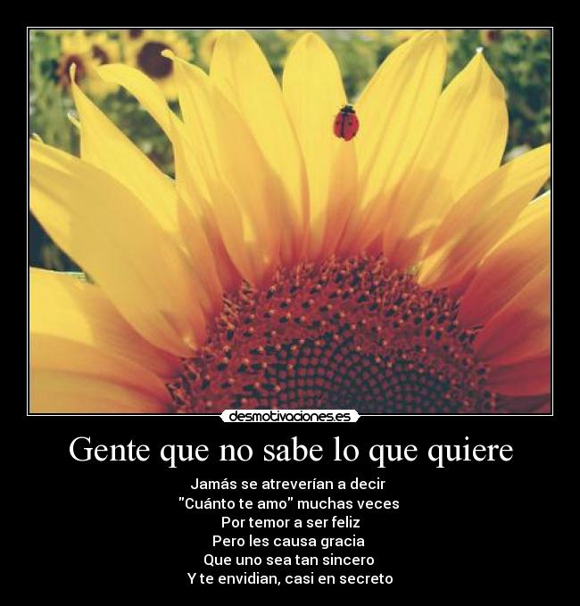 Gente que no sabe lo que quiere - Jamás se atreverían a decir
Cuánto te amo muchas veces
Por temor a ser feliz
Pero les causa gracia
Que uno sea tan sincero
Y te envidian, casi en secreto