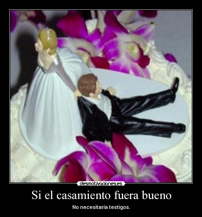 Si el casamiento fuera bueno - 