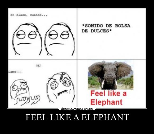 carteles feel like elephant desmotivaciones