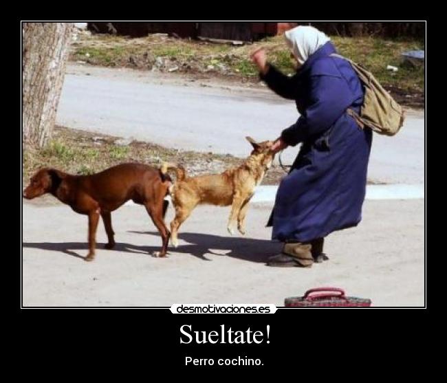 Sueltate! - Perro cochino.