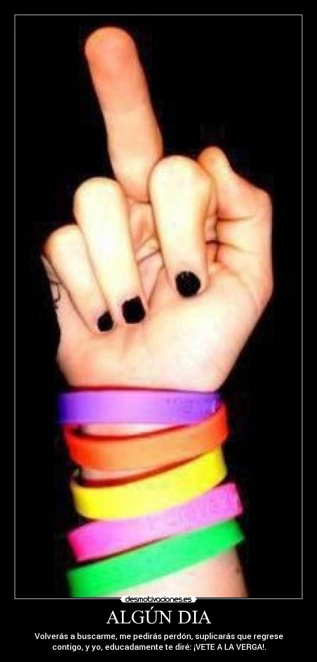 carteles vete verga perdon buscarme regresar contigo desmotivaciones