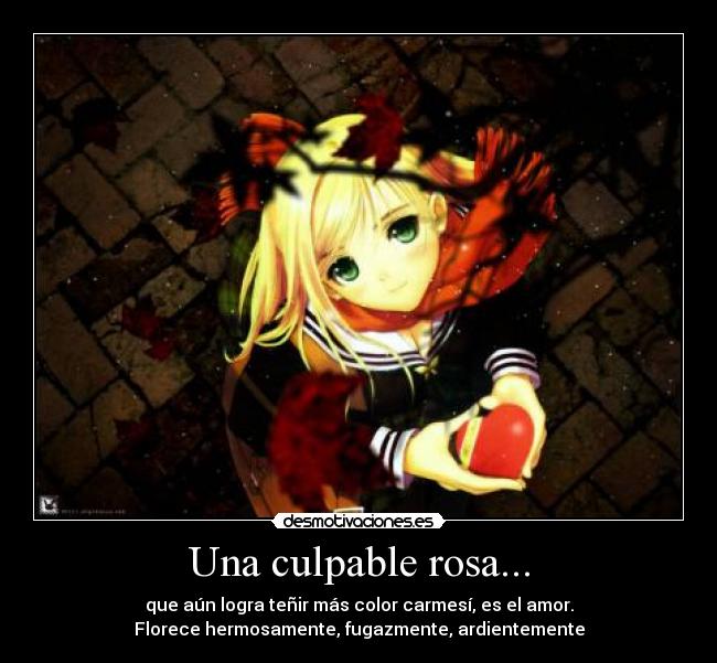 Una culpable rosa... - que aún logra teñir más color carmesí, es el amor.
Florece hermosamente, fugazmente, ardientemente