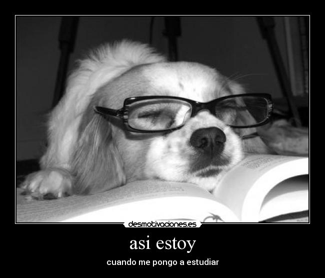 asi estoy - 