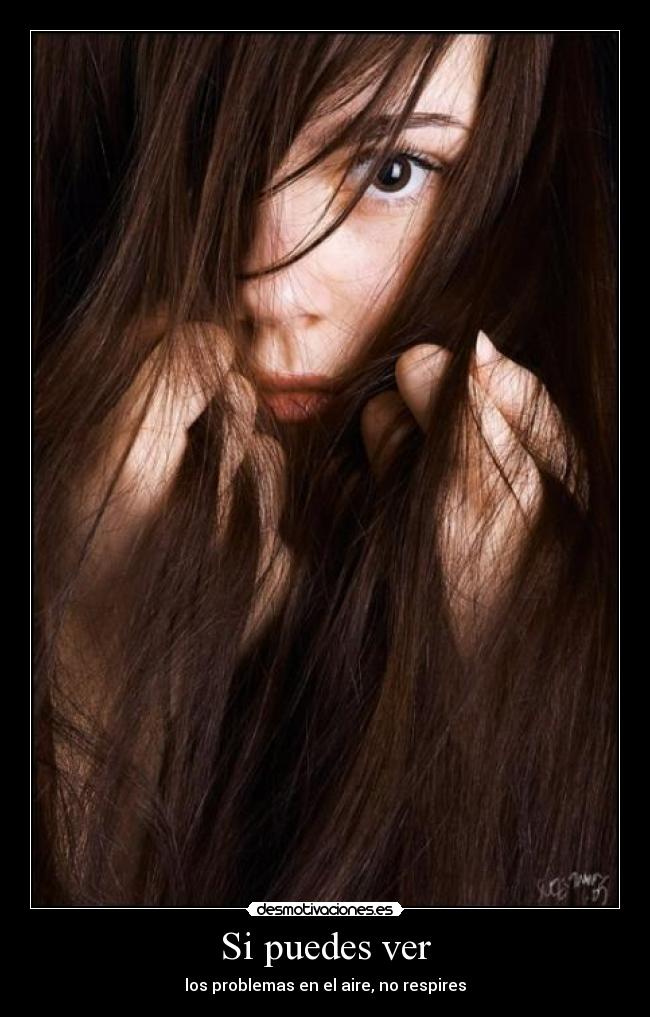 Si puedes ver - 