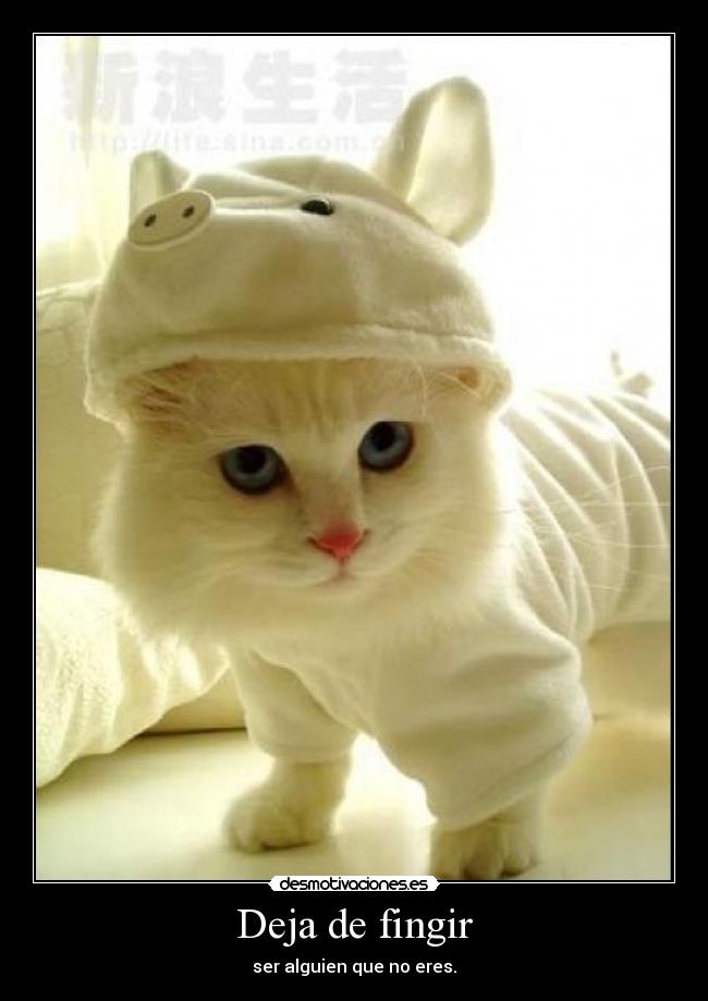 Deja de fingir -