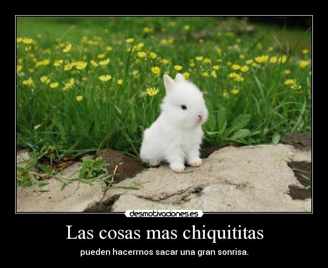 Las cosas mas chiquititas - 