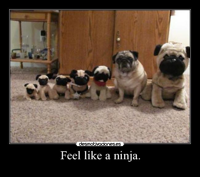 carteles sadhow elclanviral desmotivaciones