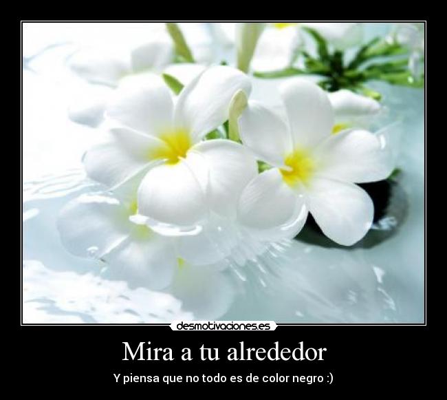 Mira a tu alrededor - Y piensa que no todo es de color negro :)