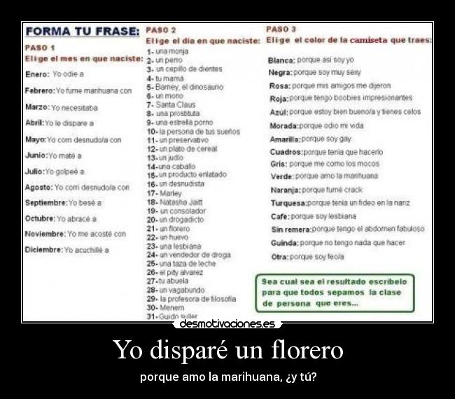 Yo disparé un florero - porque amo la marihuana, ¿y tú?