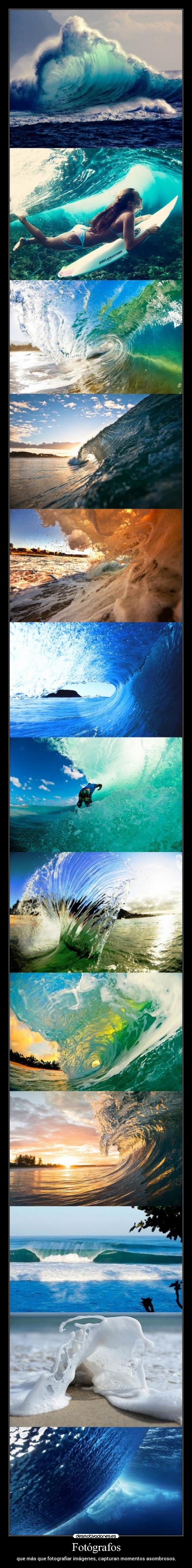 Fotógrafos - que más que fotografiar imágenes, capturan momentos asombrosos.