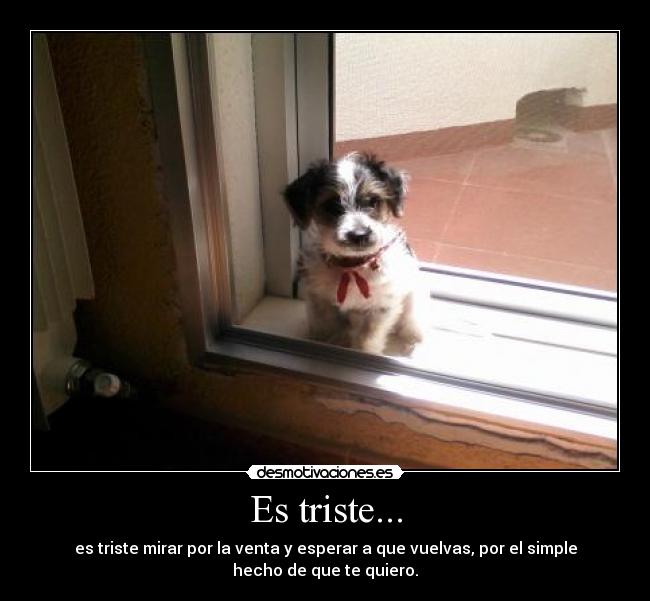 Es triste... -