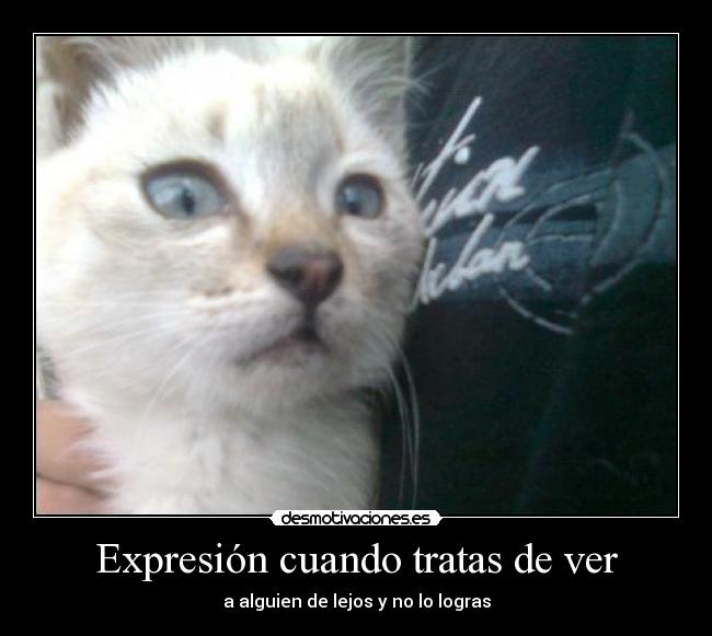 Expresión cuando tratas de ver - a alguien de lejos y no lo logras