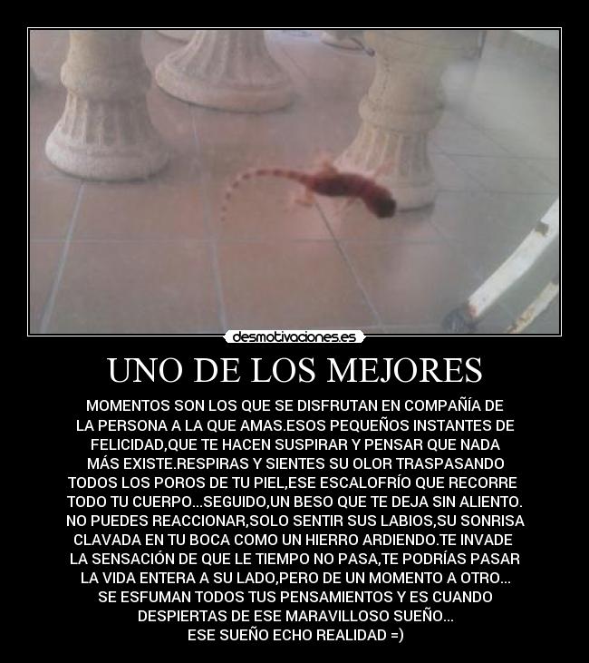 UNO DE LOS MEJORES - MOMENTOS SON LOS QUE SE DISFRUTAN EN COMPAÑÍA DE
LA PERSONA A LA QUE AMAS.ESOS PEQUEÑOS INSTANTES DE
FELICIDAD,QUE TE HACEN SUSPIRAR Y PENSAR QUE NADA
MÁS EXISTE.RESPIRAS Y SIENTES SU OLOR TRASPASANDO
TODOS LOS POROS DE TU PIEL,ESE ESCALOFRÍO QUE RECORRE 
TODO TU CUERPO...SEGUIDO,UN BESO QUE TE DEJA SIN ALIENTO.
NO PUEDES REACCIONAR,SOLO SENTIR SUS LABIOS,SU SONRISA
CLAVADA EN TU BOCA COMO UN HIERRO ARDIENDO.TE INVADE 
LA SENSACIÓN DE QUE LE TIEMPO NO PASA,TE PODRÍAS PASAR
LA VIDA ENTERA A SU LADO,PERO DE UN MOMENTO A OTRO...
SE ESFUMAN TODOS TUS PENSAMIENTOS Y ES CUANDO
DESPIERTAS DE ESE MARAVILLOSO SUEÑO...
ESE SUEÑO ECHO REALIDAD =)