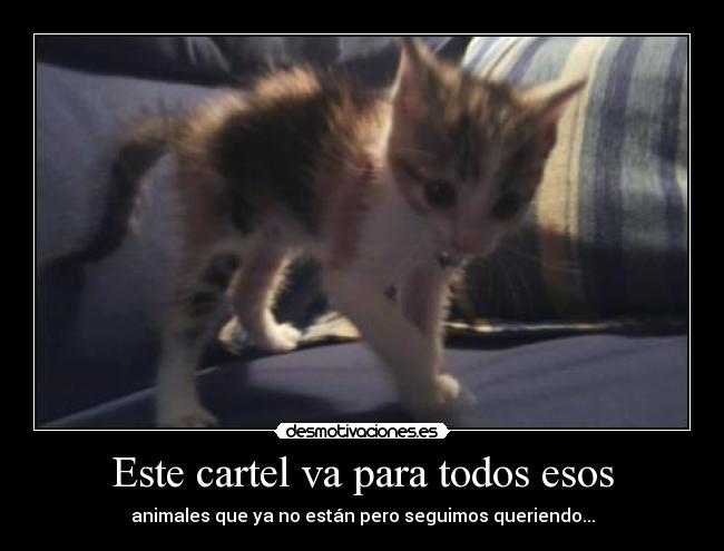 Este cartel va para todos esos - 