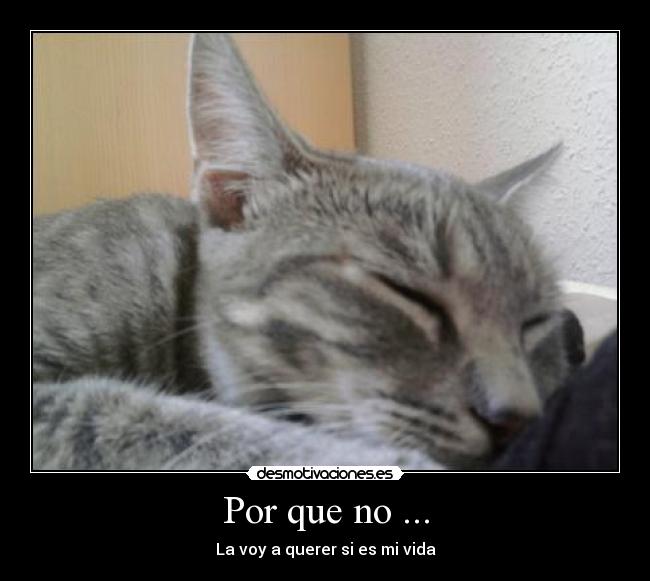 Por que no ... - La voy a querer si es mi vida