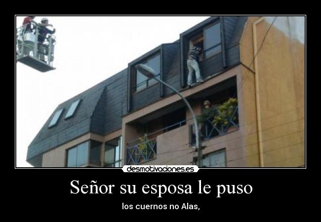 Señor su esposa le puso - 