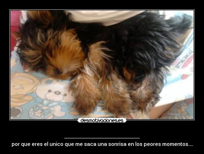 carteles lorenaaah markitopss desmotivaciones