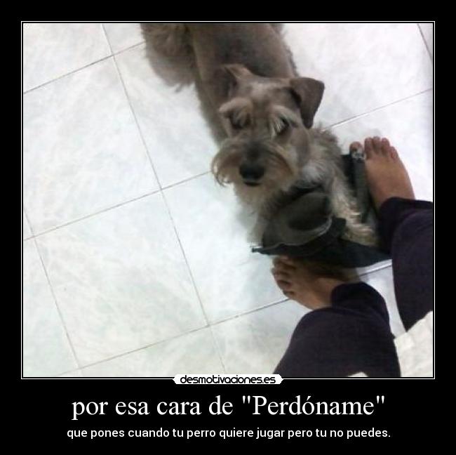 por esa cara de Perdóname - 