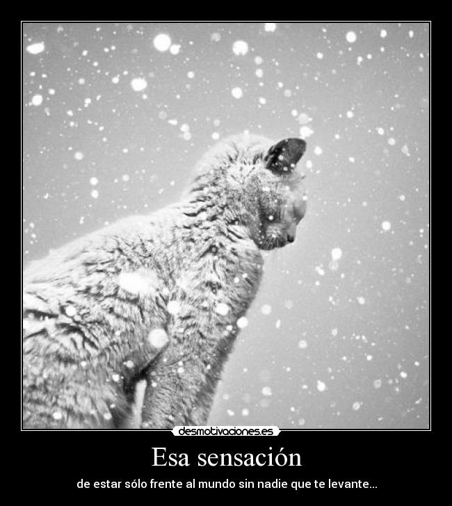 Esa sensación - de estar sólo frente al mundo sin nadie que te levante...