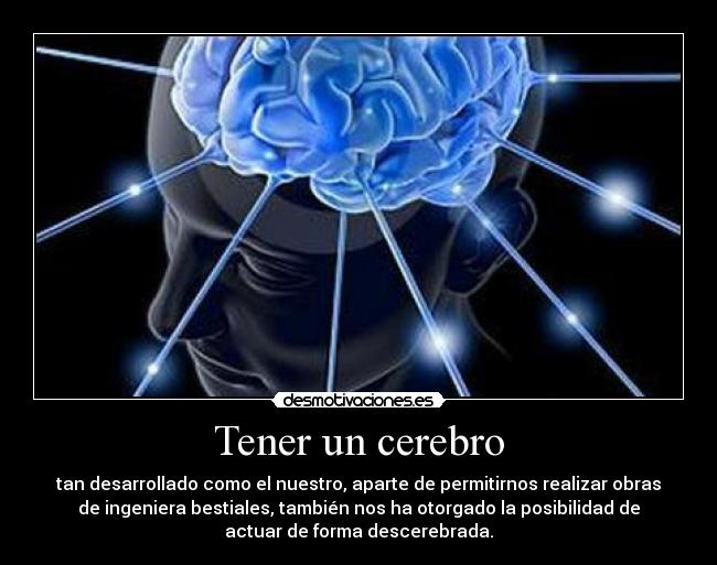 Tener un cerebro -