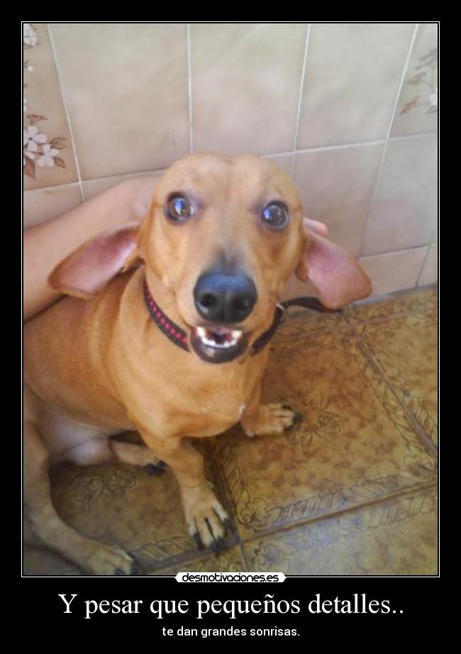 Y pesar que pequeños detalles.. - 