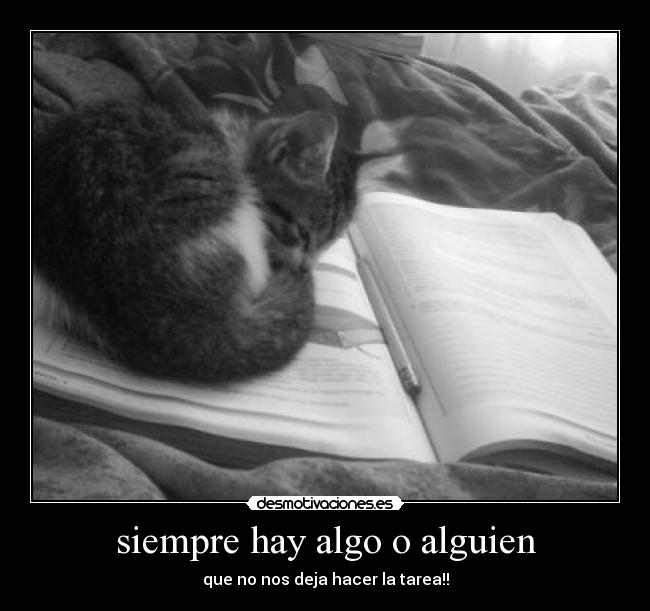 siempre hay algo o alguien - que no nos deja hacer la tarea!!