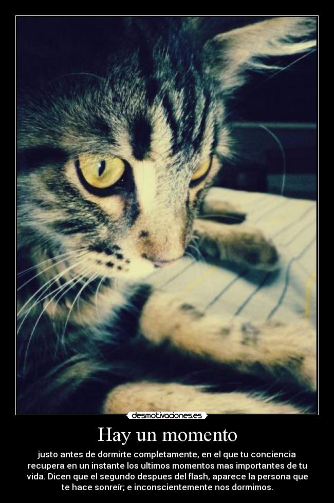 Hay un momento - justo antes de dormirte completamente, en el que tu conciencia
recupera en un instante los ultimos momentos mas importantes de tu
vida. Dicen que el segundo despues del flash, aparece la persona que
te hace sonreír; e inconscientemente nos dormimos.