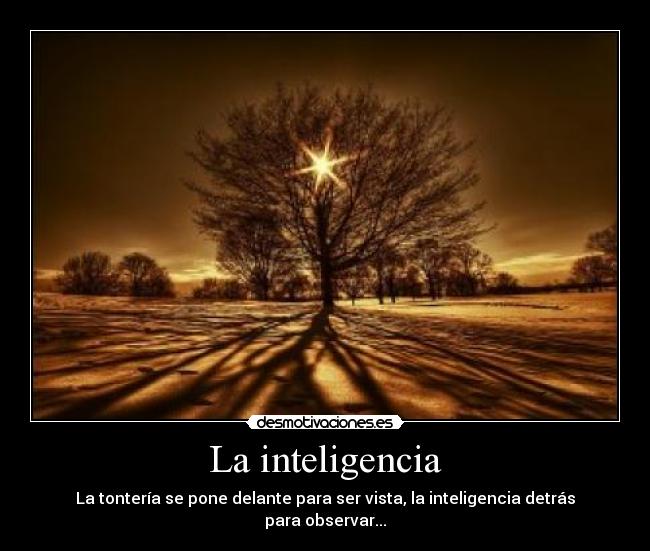 La inteligencia - La tontería se pone delante para ser vista, la inteligencia detrás para observar...