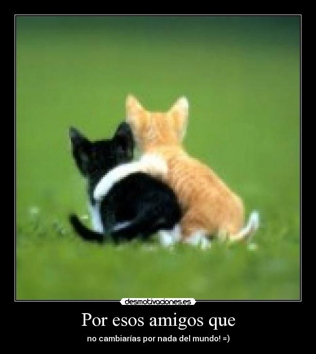 Por esos amigos que - no cambiarías por nada del mundo! =)