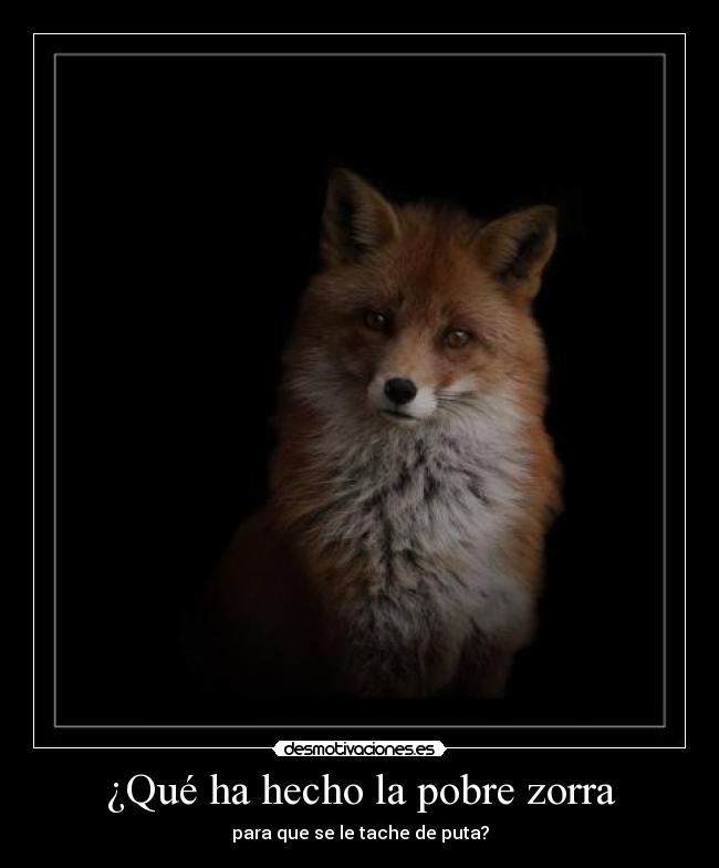 carteles dejad animalito paz desmotivaciones