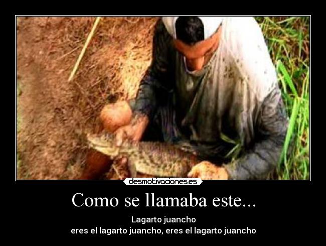 Como se llamaba este... - Lagarto juancho
eres el lagarto juancho, eres el lagarto juancho
