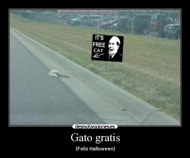 Gato gratis - (Feliz Halloween)