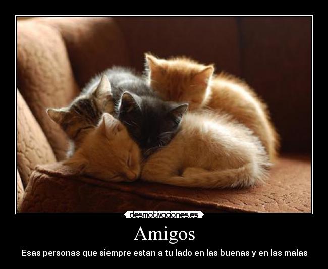 Amigos - 