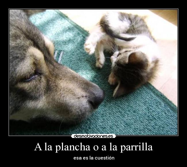 A la plancha o a la parrilla -