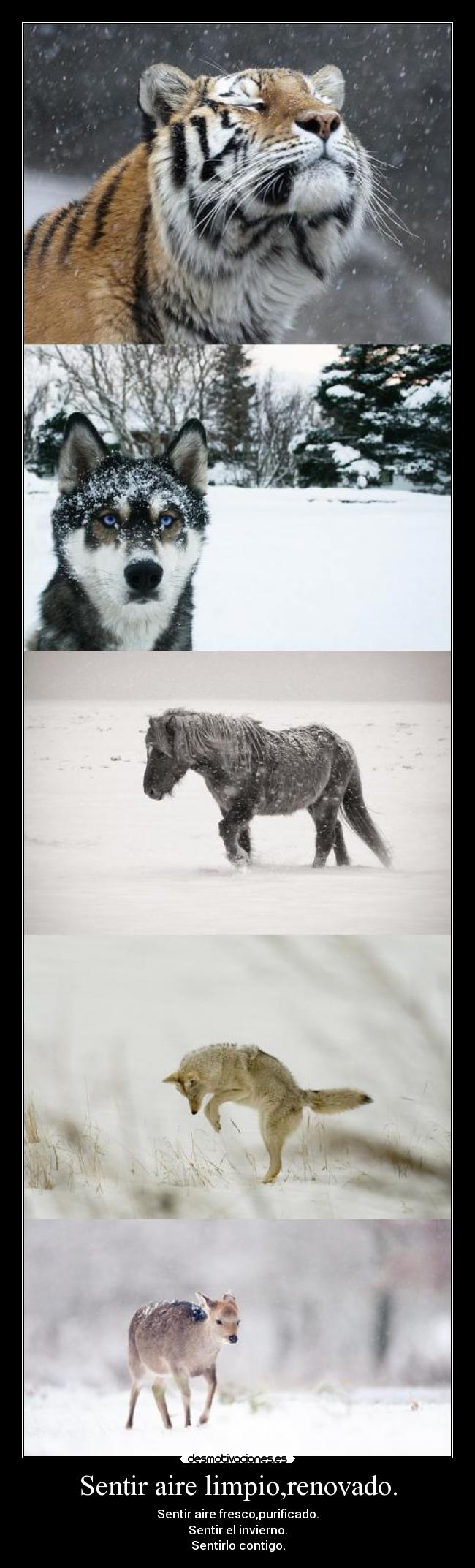 Sentir aire limpio,renovado. -